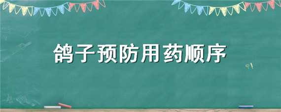 鸽子预防用药顺序 鸽子调理顺序和用药