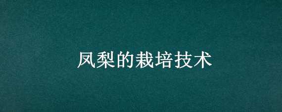 凤梨的栽培技术 凤梨的栽培技术要点