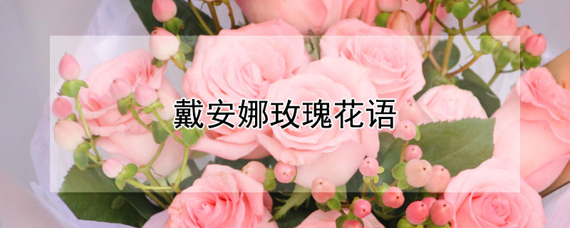 戴安娜玫瑰花语（10朵戴安娜玫瑰花语）