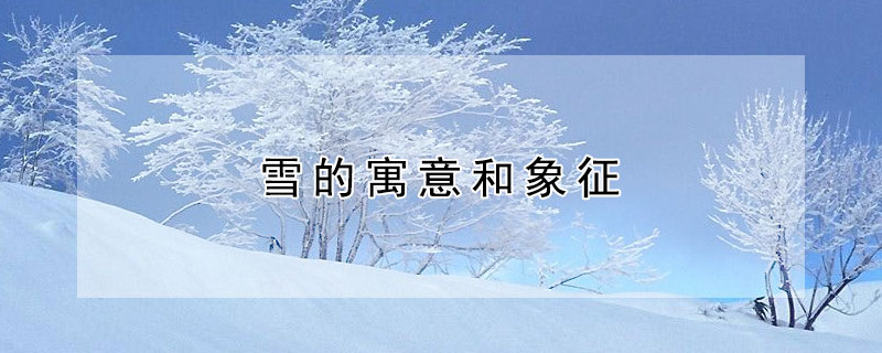 雪的寓意和象征（冰墩墩的寓意和象征）