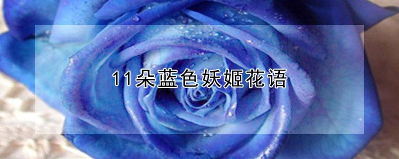 11朵蓝色妖姬花语 11朵蓝色妖姬花语 表白词