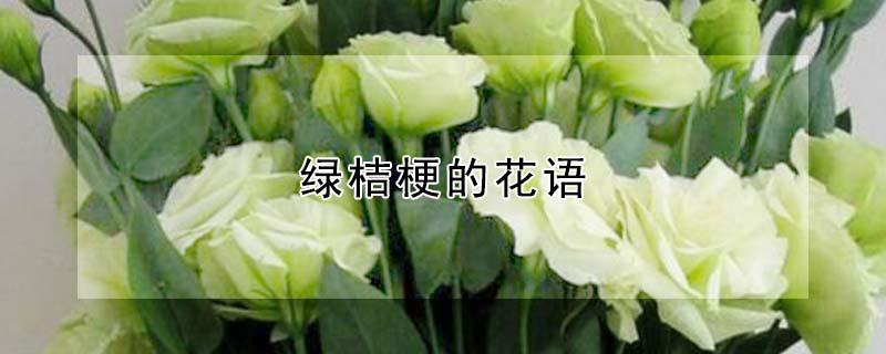 绿桔梗的花语（绿色梗桔花花语）