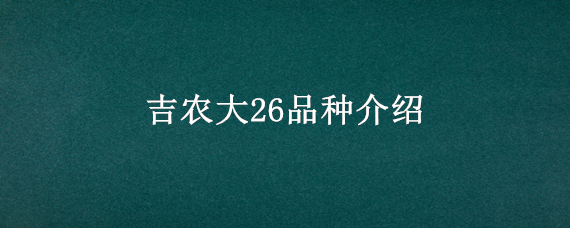 吉农大26品种介绍（吉农大604水稻品种）