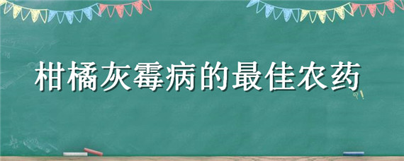 柑橘灰霉病的最佳农药（柑橘灰霉病防治用什么药最好）