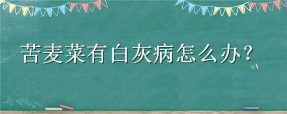 苦麦菜有白灰病怎么办 苦麦菜有白灰病能吃吗