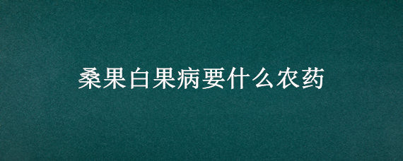 桑果白果病要什么农药 果桑白果病发生原因及其防治技术