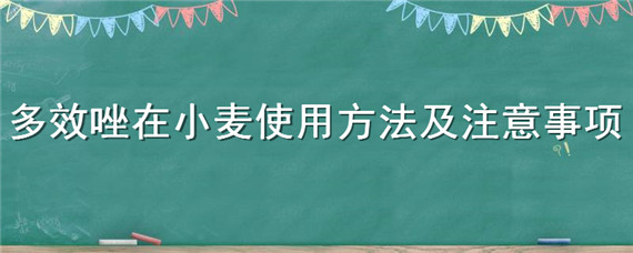 多效唑在小麦使用方法及注意事项 多效唑小麦的使用方法及注意事项