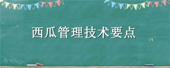 西瓜管理技术要点 西瓜的管理技术指导?