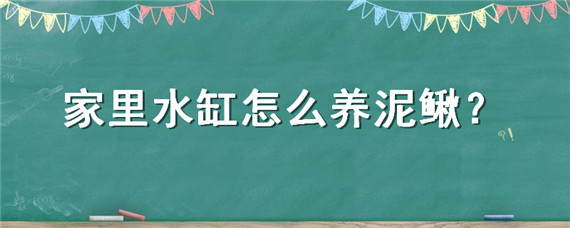 家里水缸怎么养泥鳅（家里水缸怎么养泥鳅吃什么）