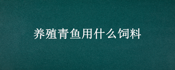 养殖青鱼用什么饲料 养殖青鱼饲料配方