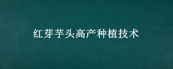 红芽芋头高产种植技术 红芽芋头每亩产量