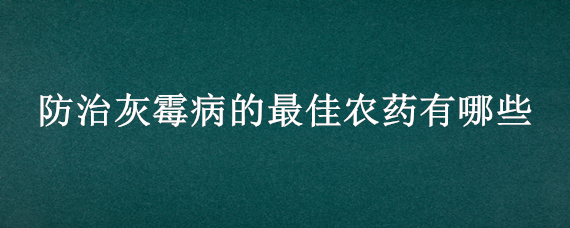 防治灰霉病的最佳农药有哪些（霜霉病用什么药）