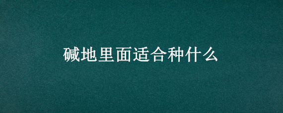 碱地里面适合种什么（碱地里面适合种什么花）