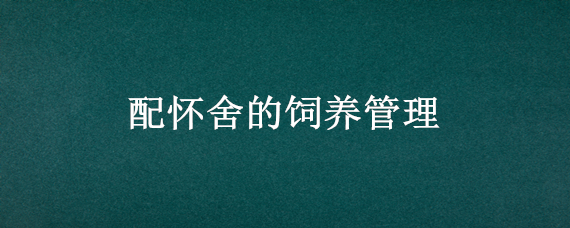 配怀舍的饲养管理（怀孕舍的饲养管理）