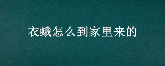 衣蛾怎么到家里来的（蛾蚋是怎么进入家里的）