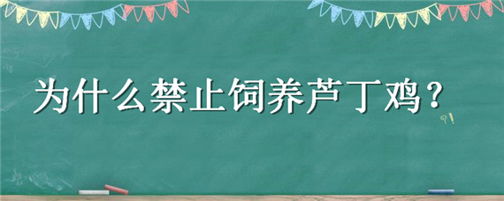 为什么禁止饲养芦丁鸡（为什么禁止养殖芦丁鸡）