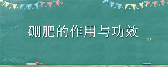 硼肥的作用与功效 硼肥的作用与功效什么时候用