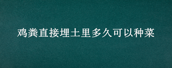 鸡粪直接埋土里多久可以种菜（鸡粪可以直接埋土里吗）