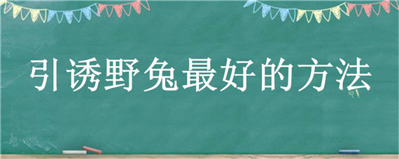 引诱野兔最好的方法（野兔用什么食物引诱）