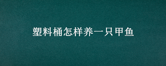 塑料桶怎样养一只甲鱼 水桶养甲鱼