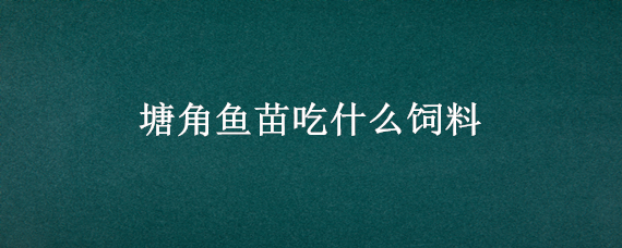 塘角鱼苗吃什么饲料 塘角鱼爱吃什么饲料