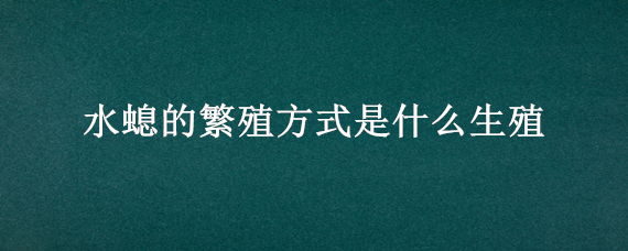 水螅的繁殖方式是什么生殖（水螅主要通过什么方式生殖）