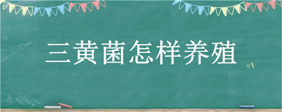 三黄菌怎样养殖 三黄菌怎么种植