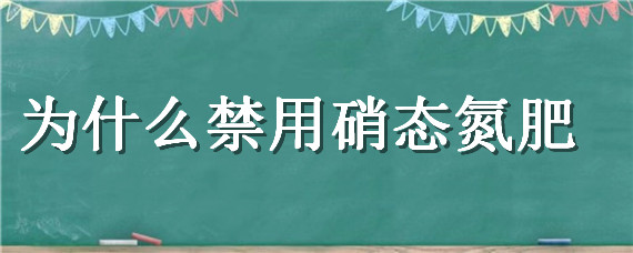 为什么禁用硝态氮肥 为什么硝酸不是氮肥