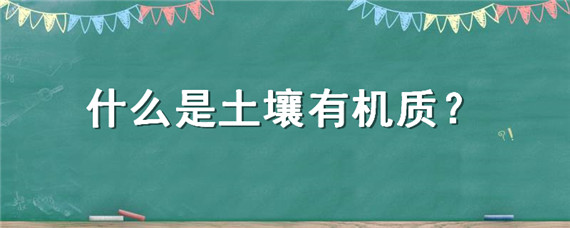 什么是土壤有机质（什么是土壤有机质的主体）