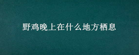 野鸡晚上在什么地方栖息 冬天晚上野鸡睡在什么地方