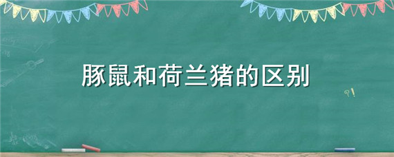 豚鼠和荷兰猪的区别 豚鼠和荷兰猪的区别博主