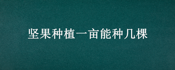 坚果种植一亩能种几棵 种坚果亩产多少