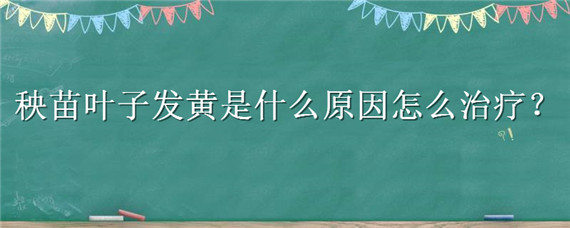 秧苗叶子发黄是什么原因怎么治疗 秧苗叶子发黄怎么回事