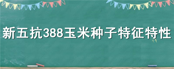 新五抗388玉米种子特征特性 国审新五抗388玉米种