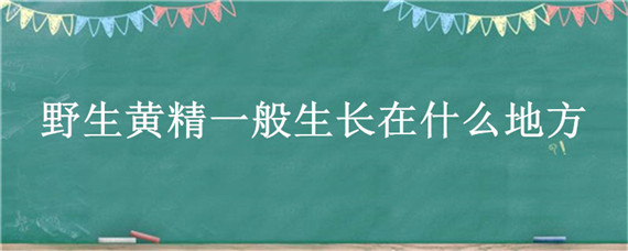 野生黄精一般生长在什么地方（野生黄精主要产于哪里）