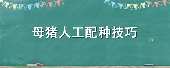 母猪人工配种技巧 母猪人工配种方法