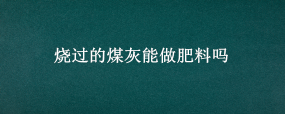 烧过的煤灰能做肥料吗（烧过的煤灰可以当肥料吗）