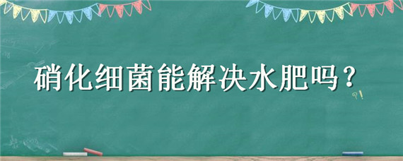 硝化细菌能解决水肥吗（硝化细菌水可以浇花吗）