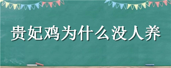 贵妃鸡为什么没人养 贵妃鸡好养活吗