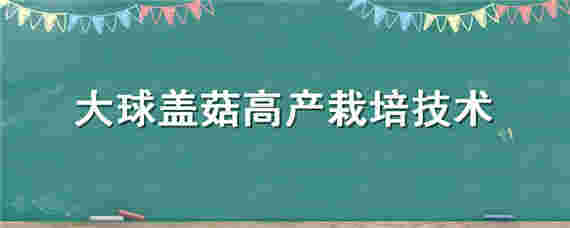 大球盖菇高产栽培技术（大球盖菇高产栽培技术书）