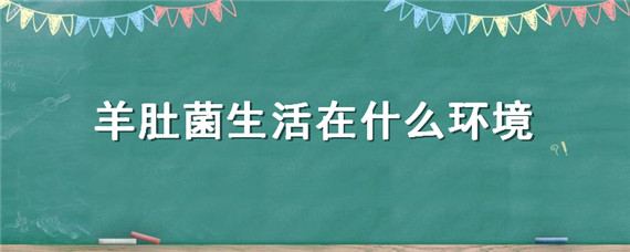 羊肚菌生活在什么环境 野生羊肚菌生活在什么环境