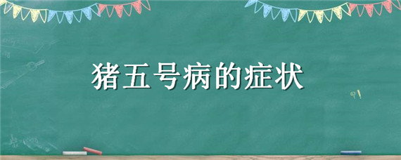 猪五号病的症状 猪五号病的症状都是什么现象