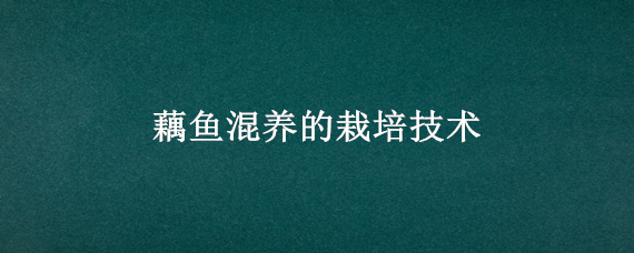 藕鱼混养的栽培技术 鱼缸养藕技术