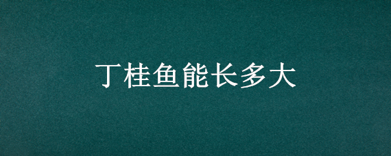 丁桂鱼能长多大（丁桂鱼能长多大有几斤?）