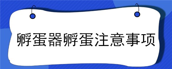 孵蛋器孵蛋注意事项（孵蛋的注意事项）