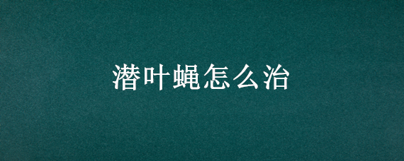 潜叶蝇怎么治 潜叶蝇怎么治疗