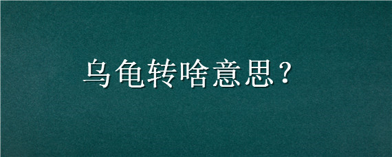 乌龟转啥意思 乌龟打转是怎么回事