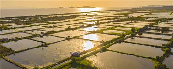 水库养鱼的方法和技巧 水库养鱼的方法和技巧视频