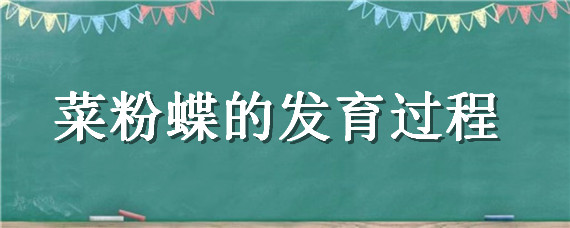 菜粉蝶的发育过程 菜粉蝶的发育过程经历了哪些阶段