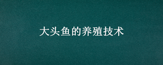 大头鱼的养殖技术 大头鱼养殖基地